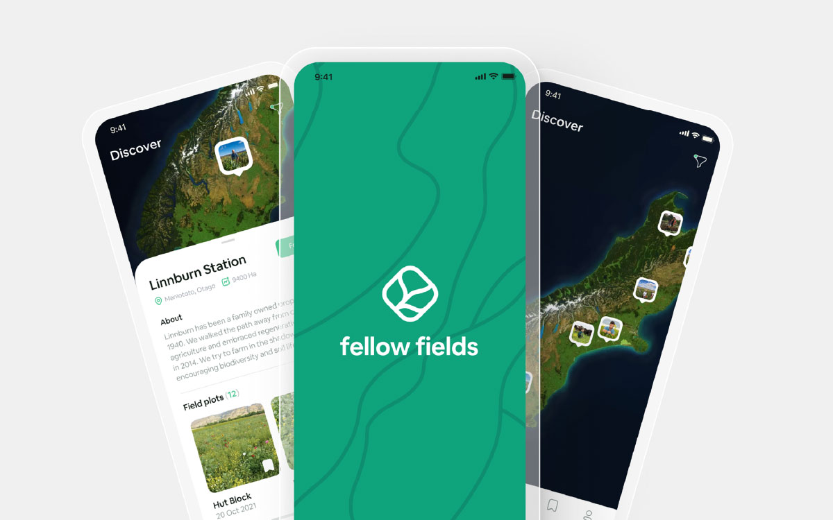 GDCT Interactive Design